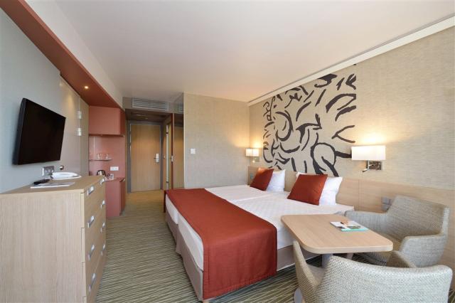 DH Bük_executive room 2.jpg
