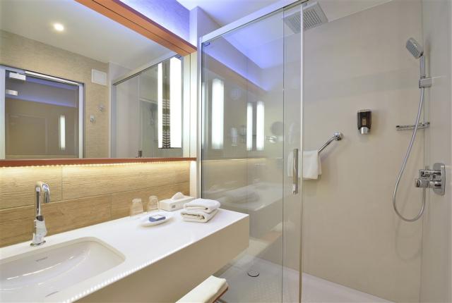 DH Bük_bathroom_executive.jpg