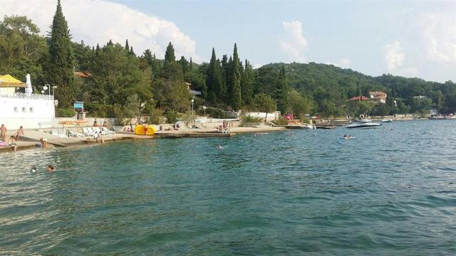 hotel-delfin.jpg