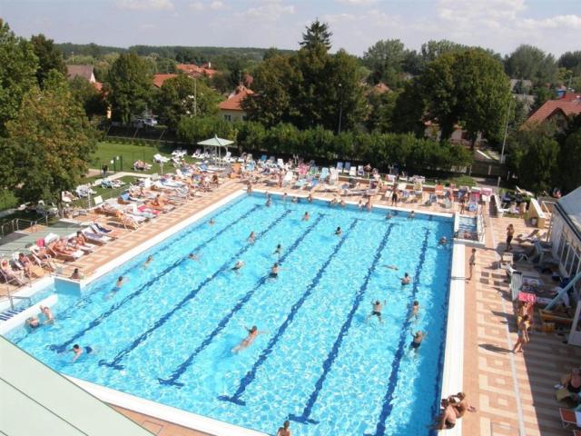 22663263.jpg