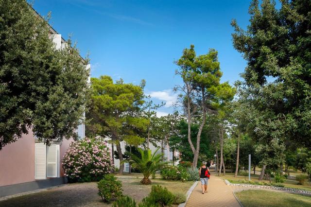 san-marino-resort-lopar-exterior-view.jpg