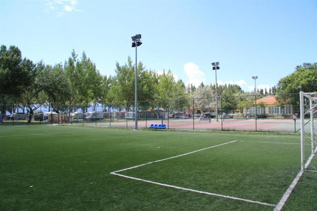 64930082.jpg