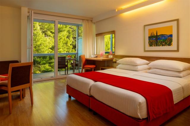 Premium Room Park Side 1.jpg