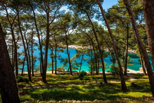 Plaža aurora 1.jpg