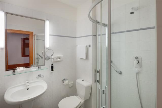 HOTEL HVEZDA_room_Neapol_Superior_SGL_1302_bath_16A7307.jpg