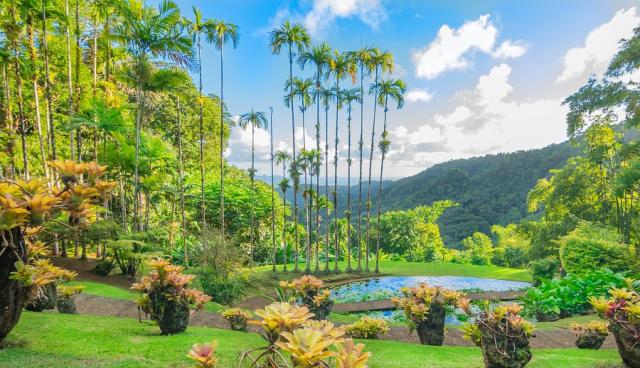 Vydejte se do tropické zahrady Jardin de Balata na Martiniku