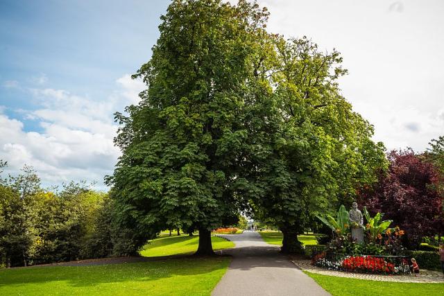 Phoenix_park_2.jpg