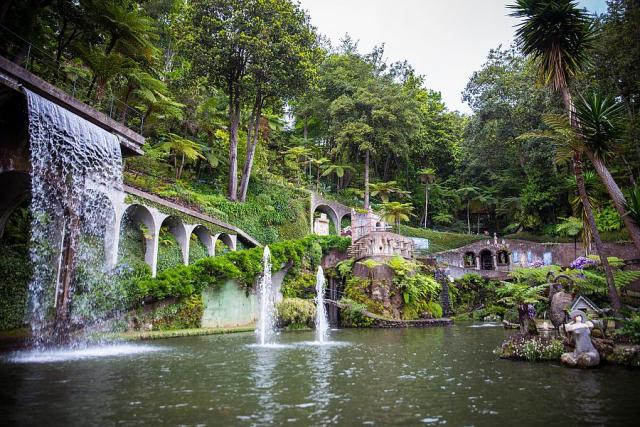 tropicka_zahrada_madeira_spurek (2).jpg