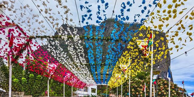 Madeira_kvetinovy_festival_3.jpg