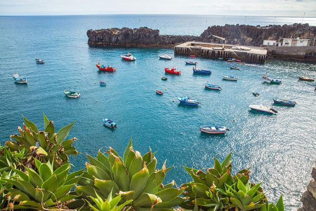 Camara_de_Lobos_madeira_spurek (6).jpg