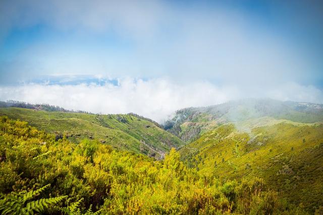 nahorni_plosina_Paul_da_Serra_madeira_spurek (4).jpg