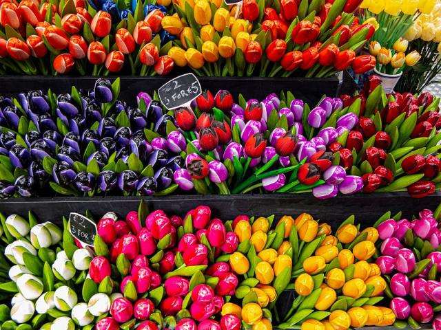 Dřevěné tulipány, které můžete pořídit na amsterdamském trhu