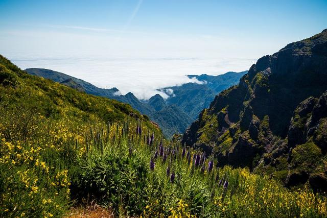 Madeira_Eira_da_Sorrado__foto_Pavel_Spurek.jpg