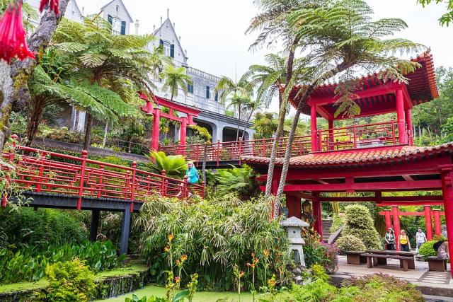 tropicka_zahrada_madeira_spurek (4).jpg