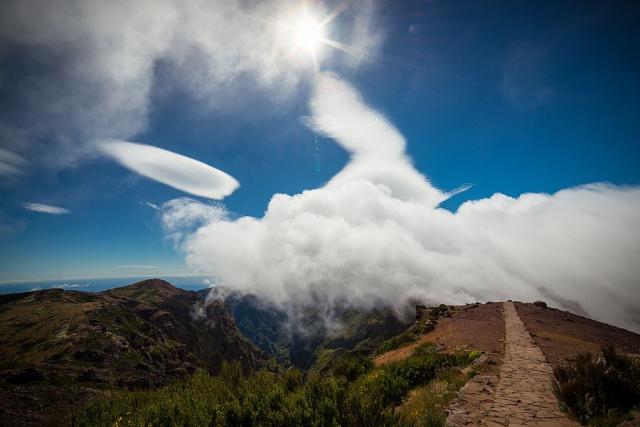 Eira_do_Serrado_madeira_spurek (3).jpg