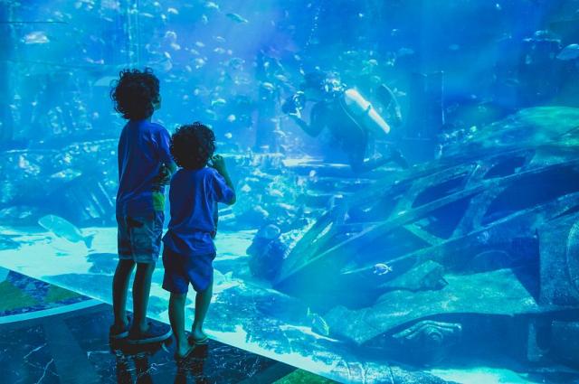 Dubaj pro děti, akvárium v Dubai Mall