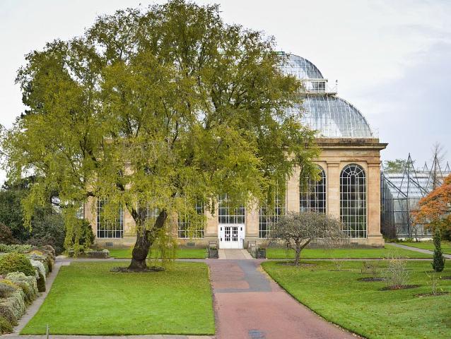Královské botanické zahrady vč. skleníků