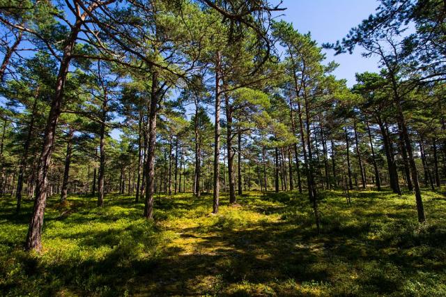 les_Sandhamn_Stockholm