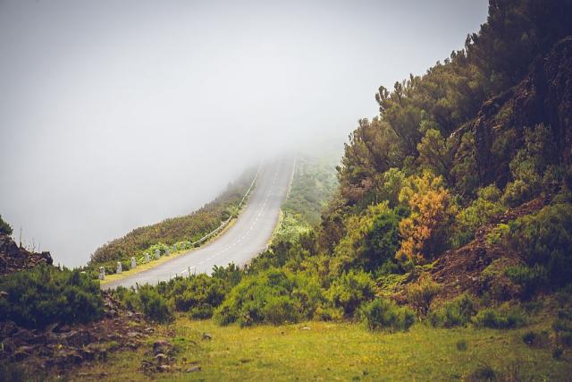 nahorni_plosina_Paul_da_Serra_madeira_spurek (3).jpg