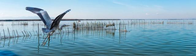 Národní park Albufera