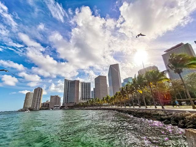 Miami_Spurek(1).jpg