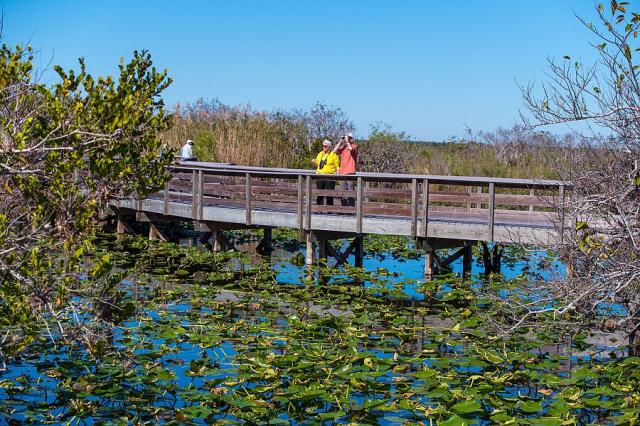 NP_Everglades_klienti_florida_spurek(7).jpg