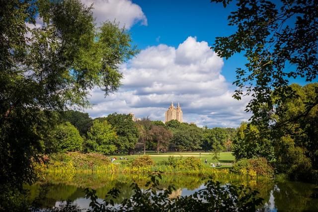 New_York_Central_park_2__foto_Pavel_Spurek.jpg