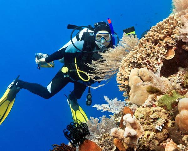 Maledivy_diving