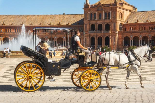 Koně, Sevilla