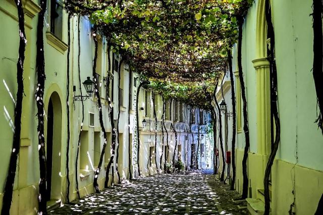 Jerez de la Frontera, Sevilla