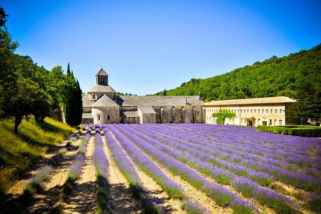 Provence_Senanque_4__Pavel_Spurek.jpg