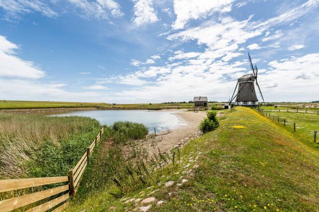 Texel