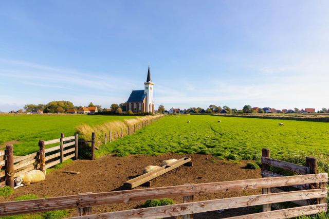 Texel