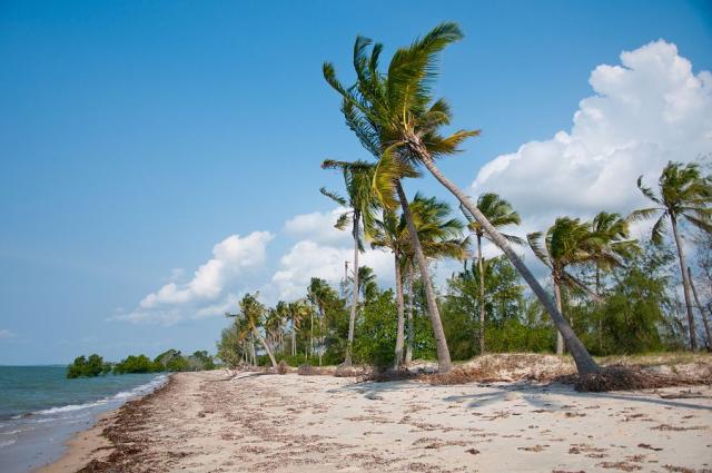 Saadani – jediný tanzanský park s prímým přístupen k oceánu