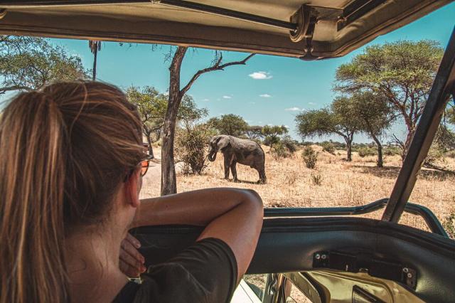 safari saadani