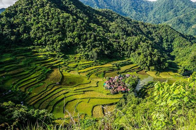 Bangaan Rice Terraces.jpg