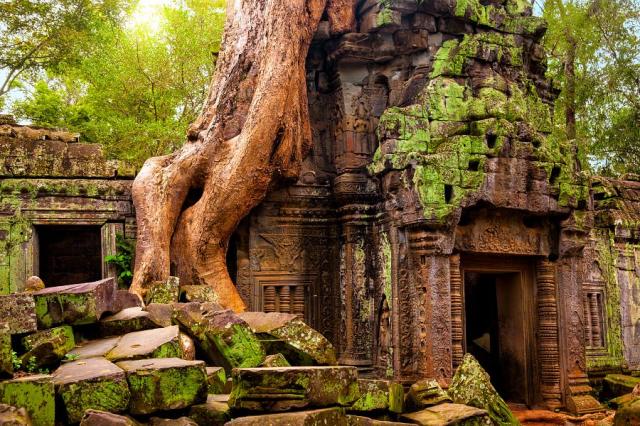 Chrám Ta Prohm, který se stal kořístí stromů