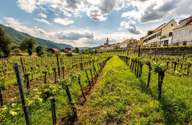 Údolí Wachau