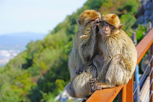 Gibraltar