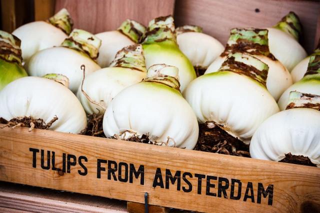 Amsterdam