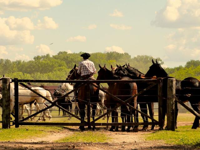 Gaucho den na ranči San Antonio del Areco.jpg