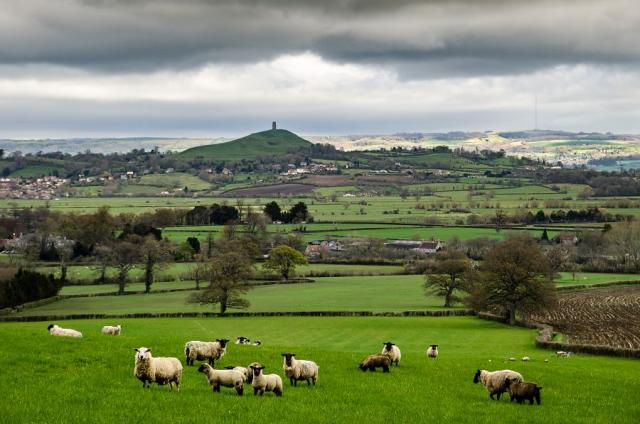 Somerset