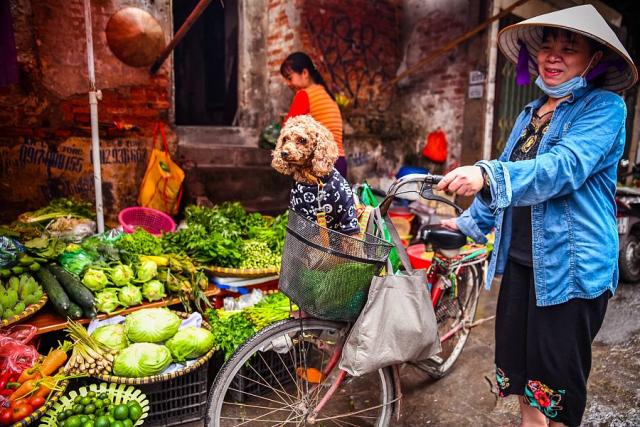 Vietnam_Hanoj_mistni_zena_pri_nakupu_na_trznici__foto_Pavel_Spu