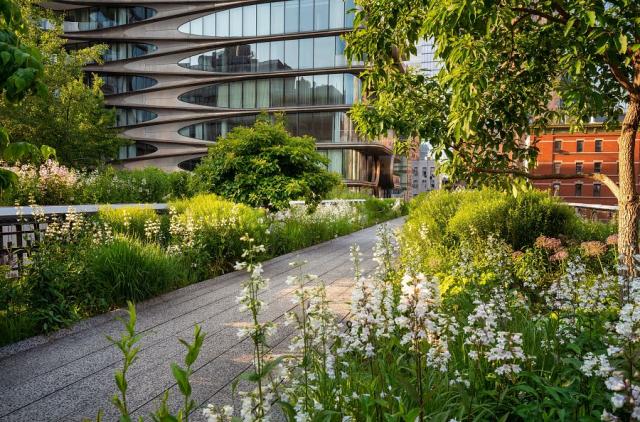 New_York_High_Line_park.jpg