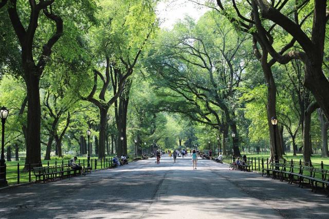 New York Central Park