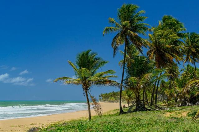 Praia do Forte_plaz
