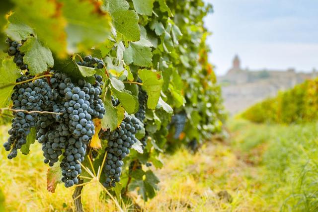 To Nejlepší Z Arménie + Jezero Sevan + Tajemství Výroby Vína A Degustace (Leteck