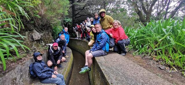 Skupinovka, leváda, Madeira