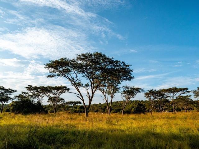 NP Lake Mburo
