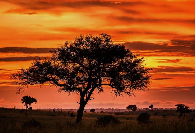 NP Murchison Falls
